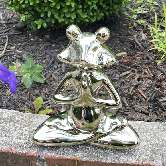 Ceramic Mirror Chrome Cute Whimsical Yoga Frog - Picture 11 of 12